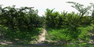 茂县农业基地图片 (37)